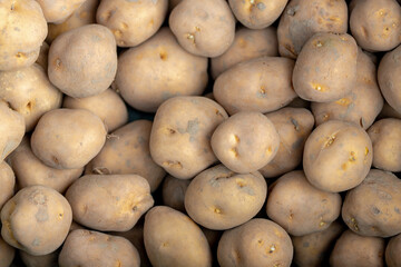 Selective focus of fresh raw organic potatoes on market stall, The potato is a starchy tuber of the plant Solanum tuberosum and is a root vegetable native to the Americas, Nature pattern background.