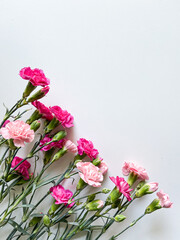 Light and dark pink flowers on a light background