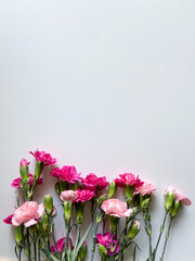 Light and dark pink flowers on a light background