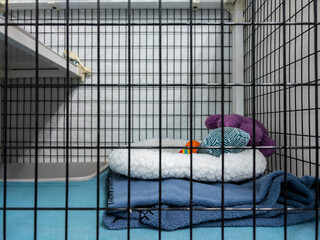 Straight on view of a fresh animal kennel inside a vet office, with blankets and other fresh bedding set out