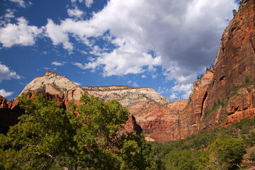 Fototapeta na wymiar The shades of red painted on the cliffs of Zion National Park