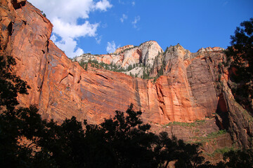 The shades of red painted on the cliffs of Zion National Park