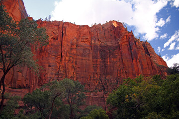 The intense red cliffs of the Zion National Park Canyon