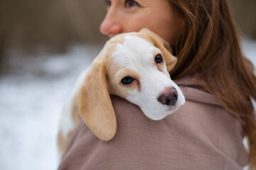 woman in scarf hugs with cute beagle puppy in the snowy winter forest