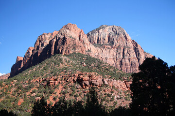 Naklejka premium The painted cliffs of Zion National Park