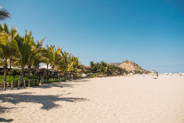 green palm trees on the beach and waves on a sunny day surrounded by a blue sky in punta sal...