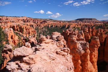 The immense hoodoos field captured from sunset point in Bryce Canyon National Park