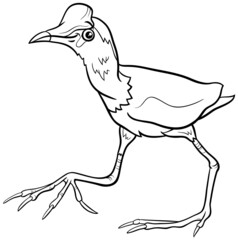 cartoon jacana bird animal character coloring book page