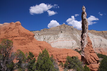 The contrast between the red rocks and the white mountains in the Kodachrome Basin State Park