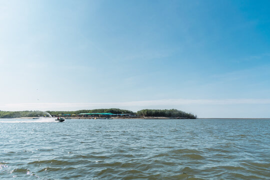 boat sailing in the mangroves of tumbes on a sunny day with a blue sky surrounded by trees at low tide in the pacific ocean