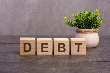 debt concept. the debt word is written on wooden cubes on a gray background. close-up of wooden elements. In the background is a green flower in a tub.