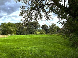 Fototapeta na wymiar Small field, with lush green grass, surrounded by old trees, on a cloudy day, near the Yorkshire hamlet of, Hetton, Skipton, UK
