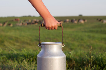 girl holding in hand a retro can for milk and unfocused farm cows on the background