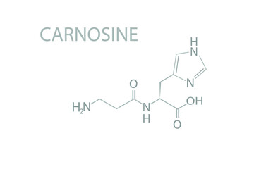 Carnosine molecular skeletal chemical formula.	
