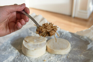 Making of the chinese dumpling