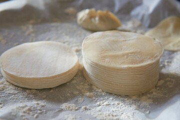 Making of the chinese dumpling