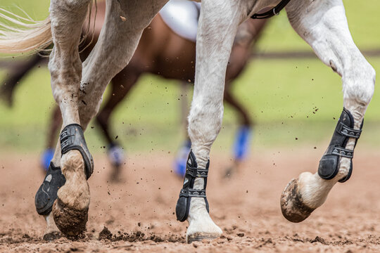 Patas de caballo cabalgando en la tierra
