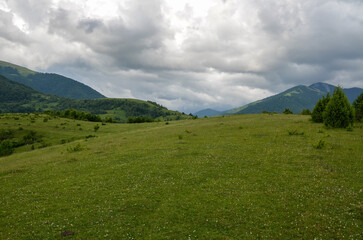 Beautiful view on grassy field of highlands and rolling hills on summer sunny day with cloudy sky. Carpathian Mountains, Ukraine