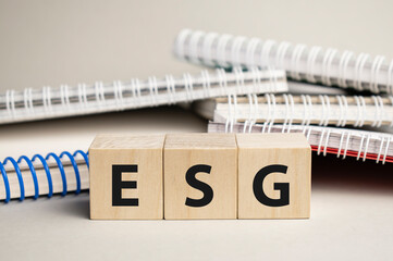 esg acronym on wood block cubes on wooden table over light blue gradient background, Frequently...