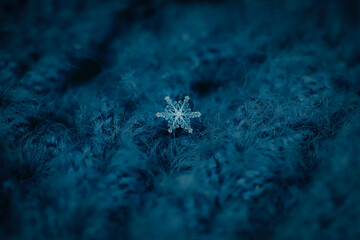 blue christmas star