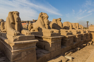 Avenue of the Rams in front of Karnak temple in Luxor, Egypt