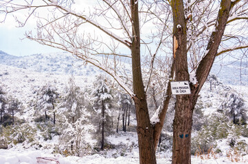 Snowy forest with a hunting sign (private hunting area).