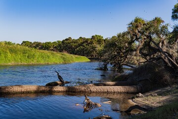 Myakka State Park 