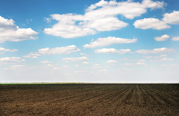 Fototapeta na wymiar Plowed field on a background of blue sky with clouds