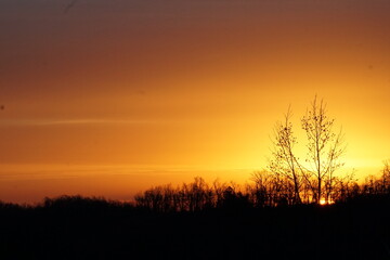 sunset in the field