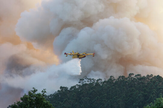 A Canadair CL-215 firefighting plane in the clouds of a forest fire