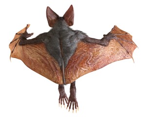 Vampire isolated in white background 3d illustration