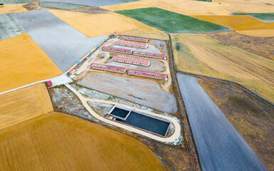 Aerial view of pig farm buildings in countryside. Agriculture in central Spain © JackF