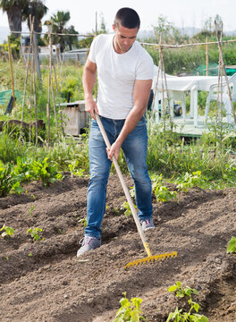 Young man gardener with rake working at land in garden outdoor