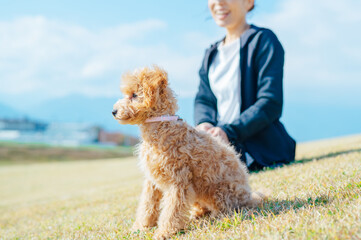 スポーツウェアで犬の散歩をする女性（全身）
