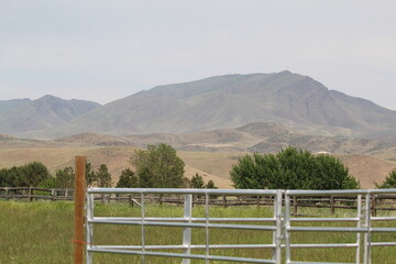 Rural Farm Scene