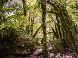 Magical Mrtvica Canyon, Montenegro 1