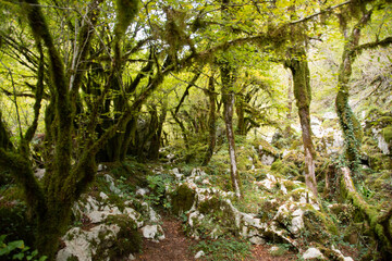 Magical Mrtvica Canyon, Montenegro 2