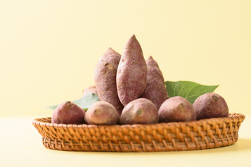 Small purple sweet potatoes from local organic agriculture for sustainability on yellow background.
