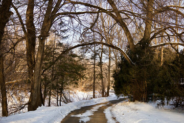 Sunrise on the root river