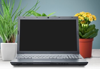 Fototapeta premium Blank screen On laptop. Beautiful concept for happy new year and christmas 2022