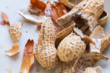 落花生の殻　薄皮