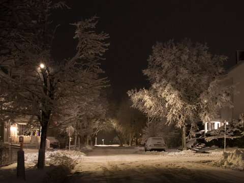 Neighbourhood snowstorm - night view 2