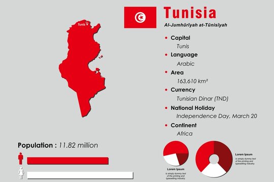 Tunisia infographic vector illustration complemented with accurate statistical data. Tunisia country information map board and Tunisia flat flag