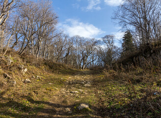 Late autumn in nature, dull time and cloudy sky, dull colors and the breath of winter, walking in the countryside. -