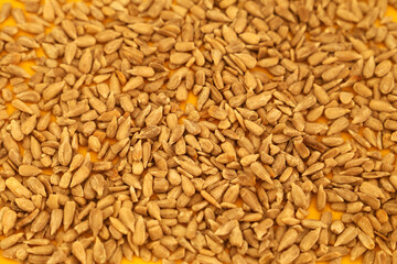 Barley on a yellow background. Top view