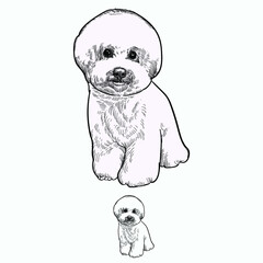 Vintage hand drawn sketch  colored grooming dog