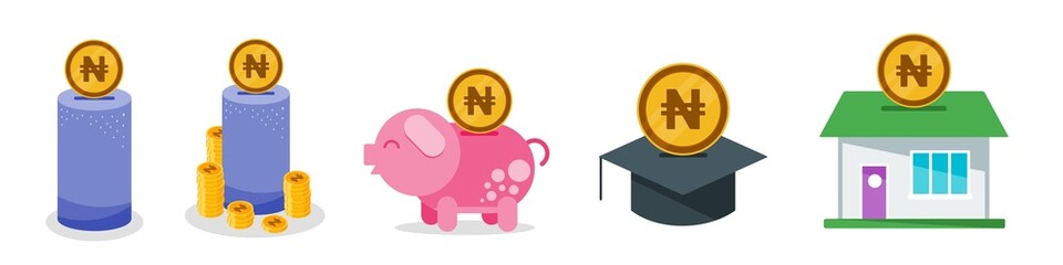 Saving Nigerian Naira Money Icon Set