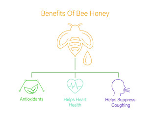 Benefits of bee honey icon vector illustration 