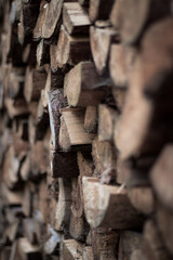 stack of firewood shallow focus