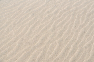 砂浜の波紋